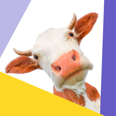 Livestock Supplements